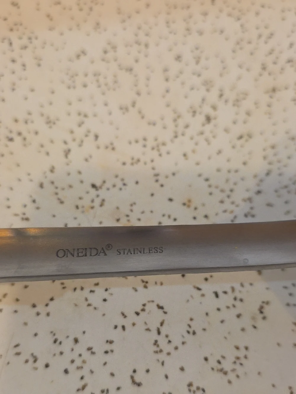 Oneida Stainless Steel 13